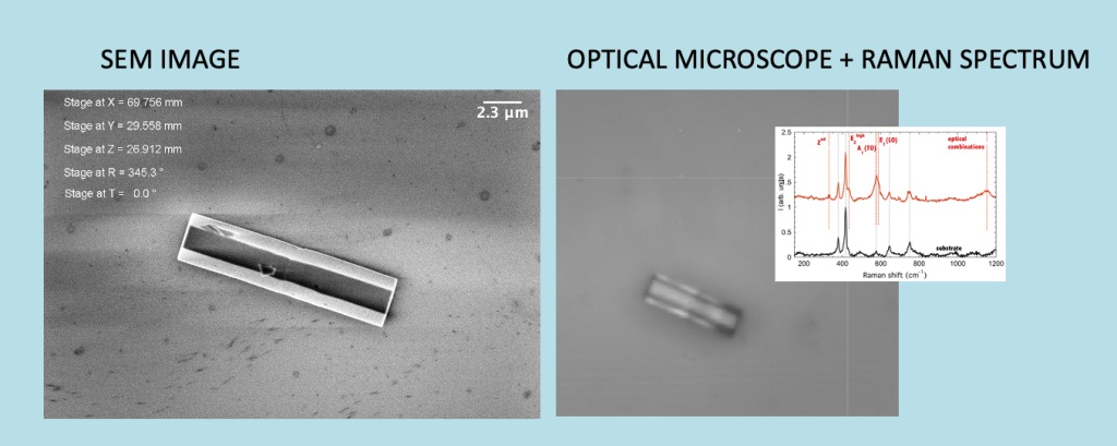 Correlative microscopy of a ZnO microwire
